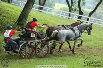 MS 2 Lipica 2017 - maraton