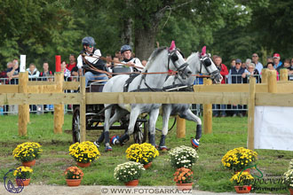 MS 2 Lipica 2017 - maraton