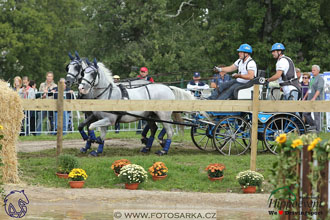 MS 2 Lipica 2017 - maraton