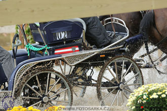 MS 2 Lipica 2017 - maraton