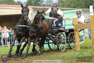 MS 2 Lipica 2017 - maraton