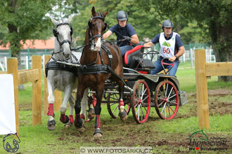 MS 2 Lipica 2017 - maraton