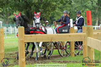 MS 2 Lipica 2017 - maraton