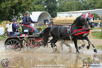 MS 2 Lipica 2017 - maraton