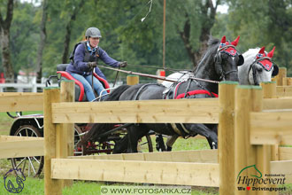 MS 2 Lipica 2017 - maraton