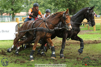 MS 2 Lipica 2017 - maraton