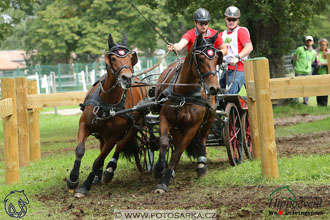 MS 2 Lipica 2017 - maraton