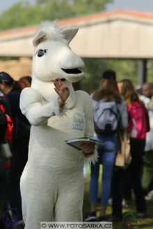 MS 2 Lipica 2017 - maraton