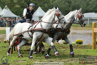 MS 2 Lipica 2017 - maraton