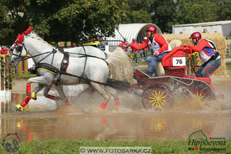 MS 2 Lipica 2017 - maraton