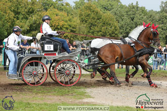 MS 2 Lipica 2017 - maraton