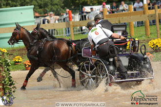 MS 2 Lipica 2017 - maraton