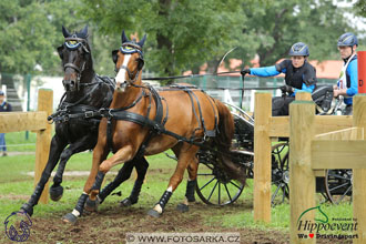 MS 2 Lipica 2017 - maraton