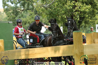 MS 2 Lipica 2017 - maraton