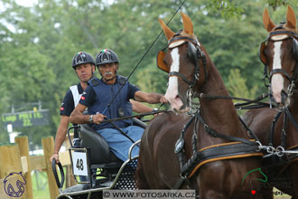 MS 2 Lipica 2017 - maraton