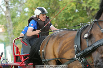 MS 2 Lipica 2017 - maraton