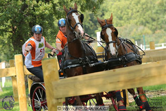 MS 2 Lipica 2017 - maraton