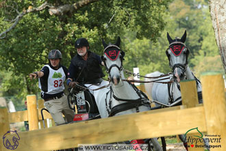 MS 2 Lipica 2017 - maraton