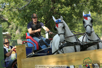 MS 2 Lipica 2017 - maraton