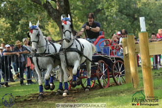 MS 2 Lipica 2017 - maraton