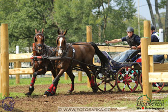 MS 2 Lipica 2017 - maraton