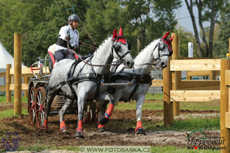 MS 2 Lipica 2017 - maraton
