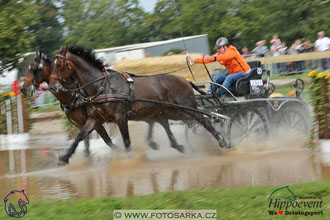 MS 2 Lipica 2017 - maraton