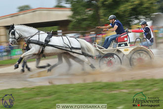 MS 2 Lipica 2017 - maraton