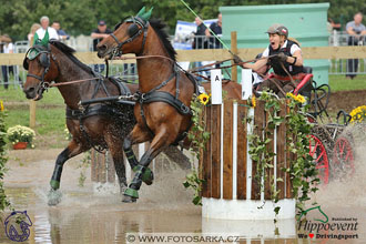 MS 2 Lipica 2017 - maraton