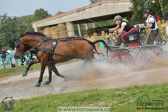 MS 2 Lipica 2017 - maraton