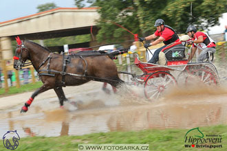 MS 2 Lipica 2017 - maraton