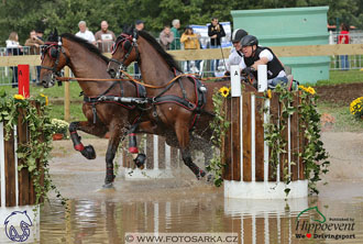 MS 2 Lipica 2017 - maraton