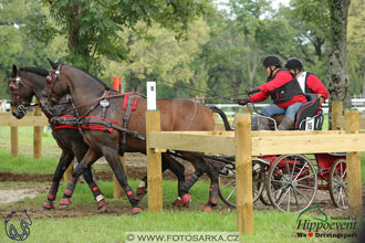 MS 2 Lipica 2017 - maraton