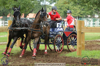 MS 2 Lipica 2017 - maraton