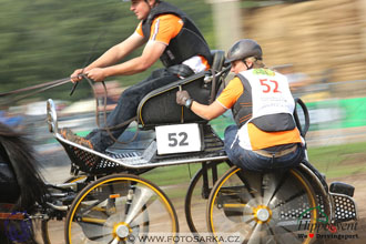 MS 2 Lipica 2017 - maraton