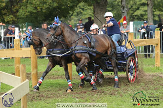 MS 2 Lipica 2017 - maraton