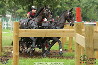 MS 2 Lipica 2017 - maraton