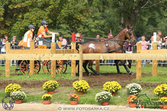 MS 2 Lipica 2017 - maraton