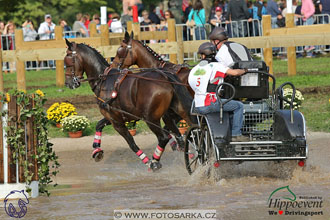 MS 2 Lipica 2017 - maraton