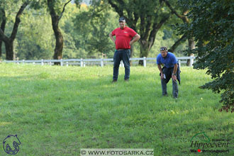 MS 2 Lipica 2017 - maraton