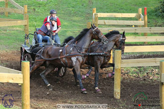 MS 2 Lipica 2017 - maraton