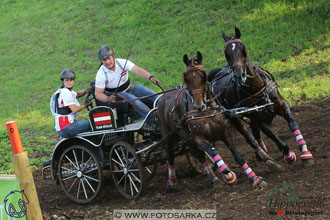 MS 2 Lipica 2017 - maraton