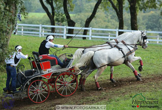 MS 2 Lipica 2017 - maraton