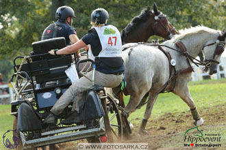 MS 2 Lipica 2017 - maraton