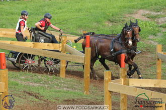 MS 2 Lipica 2017 - maraton