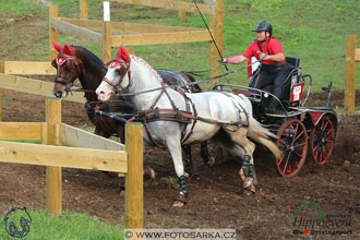 MS 2 Lipica 2017 - maraton