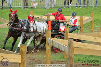 MS 2 Lipica 2017 - maraton