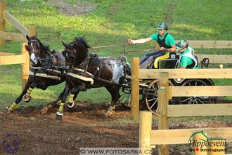 MS 2 Lipica 2017 - maraton