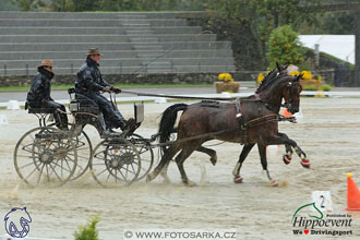 MS 2 Lipica 2017 - parkur + vyhlášení