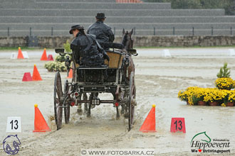 MS 2 Lipica 2017 - parkur + vyhlášení